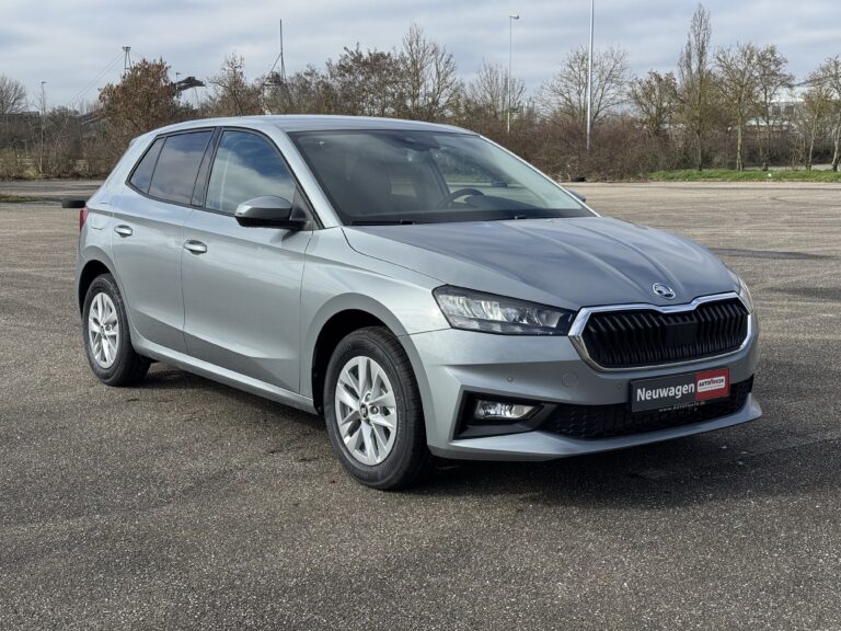 Skoda Fabia Reimport EU-Neuwagen