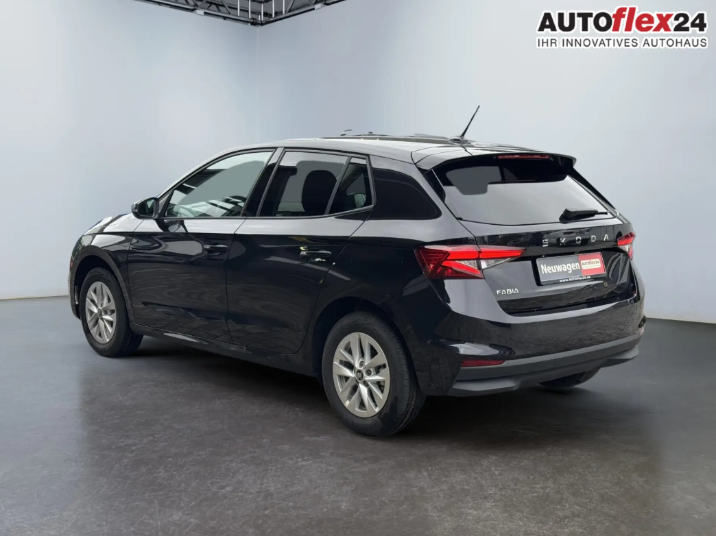 Skoda-Fabia-Reimport
