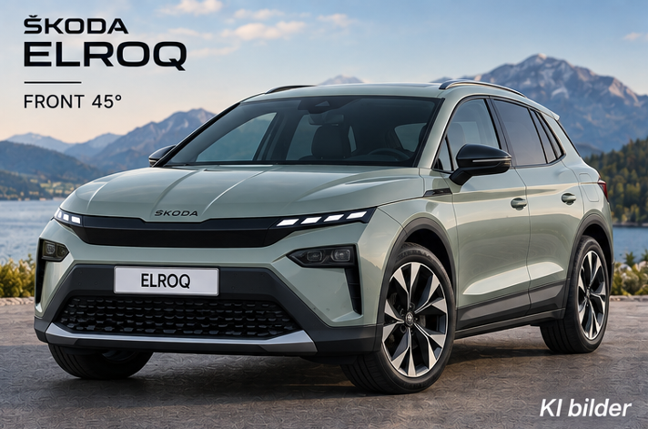 Skoda Elroq reimport preis