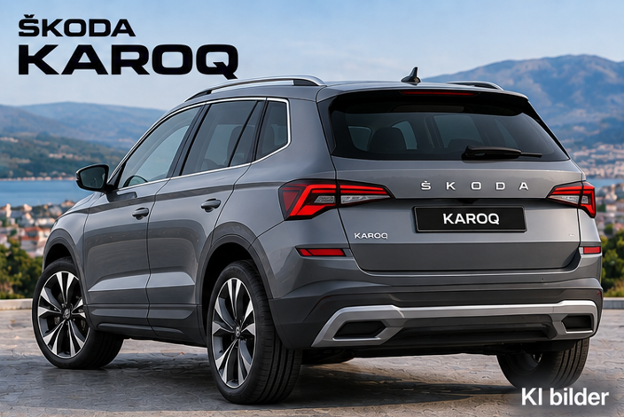 Skoda Karoq Reimport EU-Neuwagen