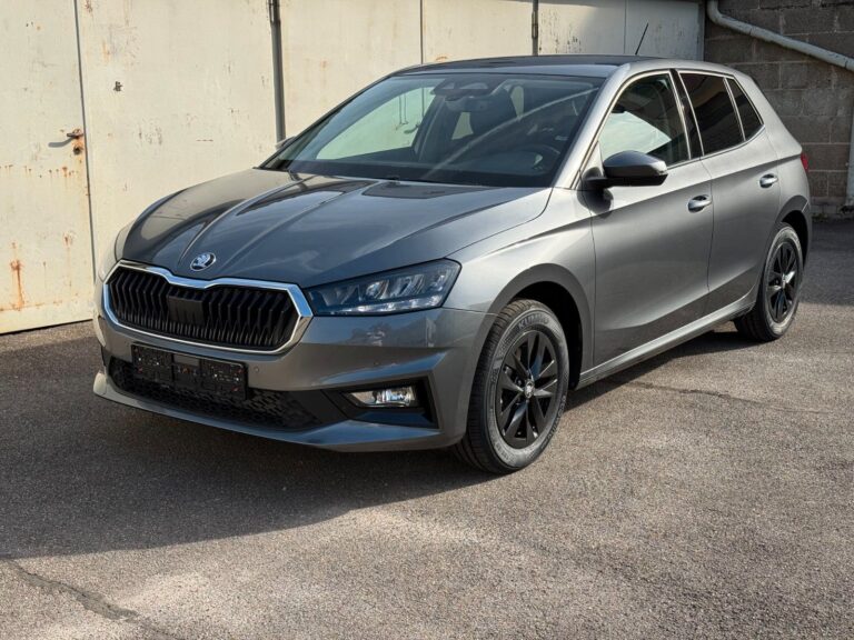 Skoda Fabia Günstig kaufen