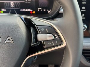 SKODA Fabia Extra Plus 1,0 TSI DSG 2 ZoKlima 2PDC Kame Bild 12