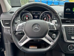 MERCEDES-BENZ GL 63 AMG AHK Navi 21Zoll Pano Enter Bild 15