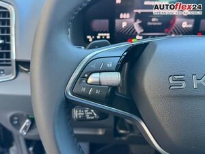SKODA Karoq Extra Plus 1,5 TSI DSG 2Zoklima 2xEinpa... Bild 14