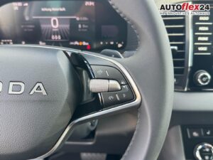 SKODA Karoq Extra Plus 1,5 TSI DSG 2Zoklima 2xEinp... Bild 14